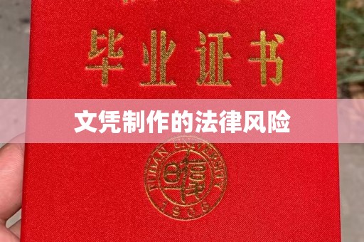 青原文凭制作的法律风险