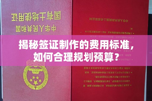 青原揭秘签证制作的费用标准，如何合理规划预算？