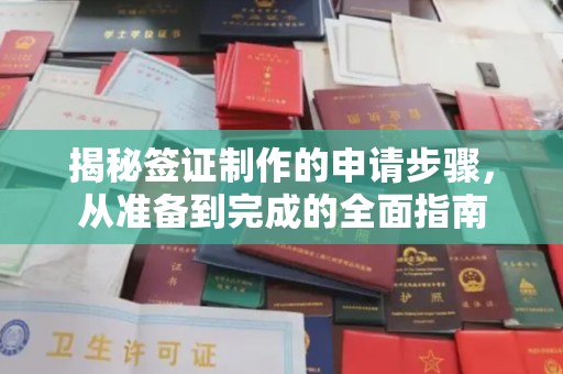 青原揭秘签证制作的申请步骤，从准备到完成的全面指南