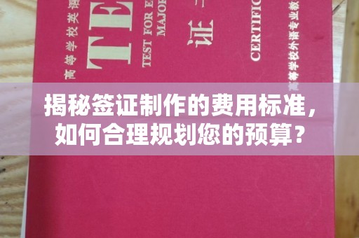 青原揭秘签证制作的费用标准，如何合理规划您的预算？